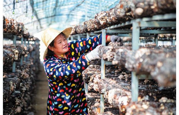 �ֵ��㹽�S�Օr