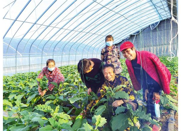 �����v������߲˷Nֲ���g(sh��)