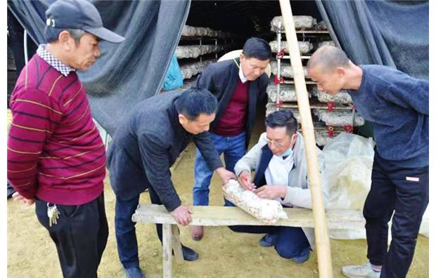 ���r(n��ng)���g(sh��)��Ӗ(x��n)