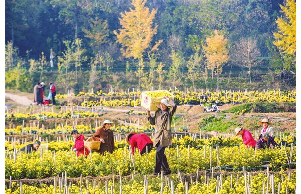 �ջ�ʢ�_�M�ؽ�