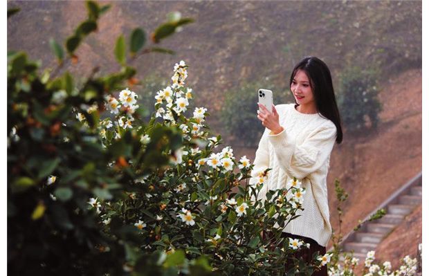 �Ͳ軨�_�S������