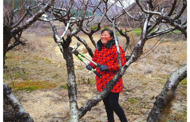 ���ڴ�����