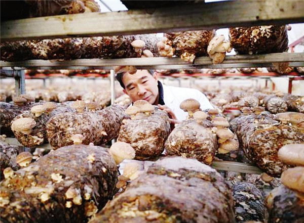 ����(zh��n)���S�����㹽���ȡ���������