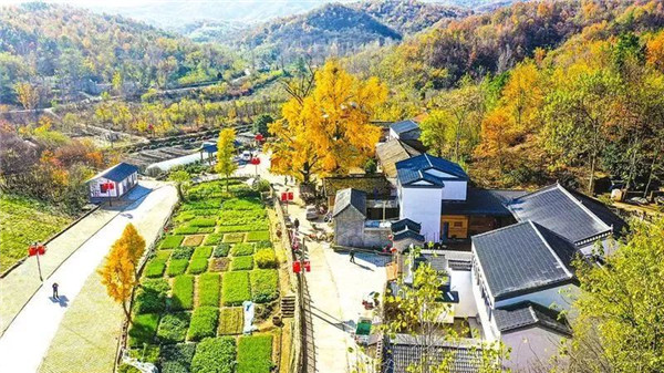 �ݵ��(zh��n)���ɽ�壺��һ�s�ĕ����@��Ч ���L���������Ҹ���