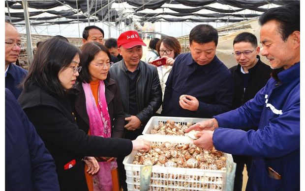 ָ���㹽�Nֲ���g