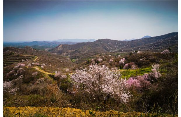 �ѻ����t��һ��ɽ