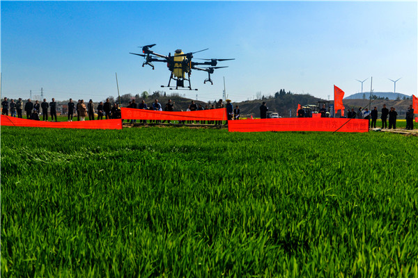 ���ļZ�S�մ���A(ch��)