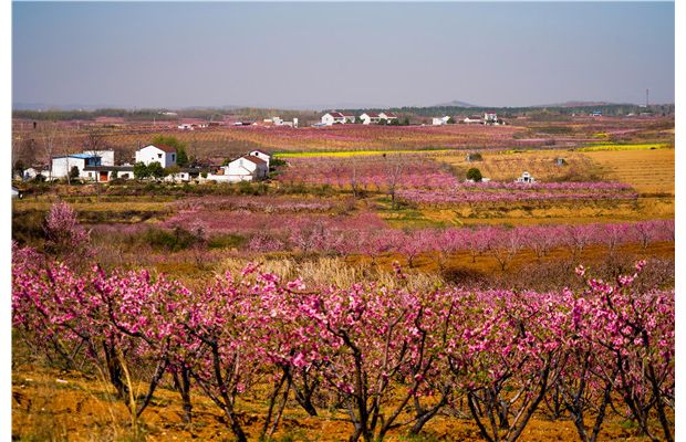 �һ��@�ﴺ���