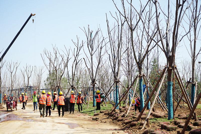 ���鹫�@�����̼����ʽ���@