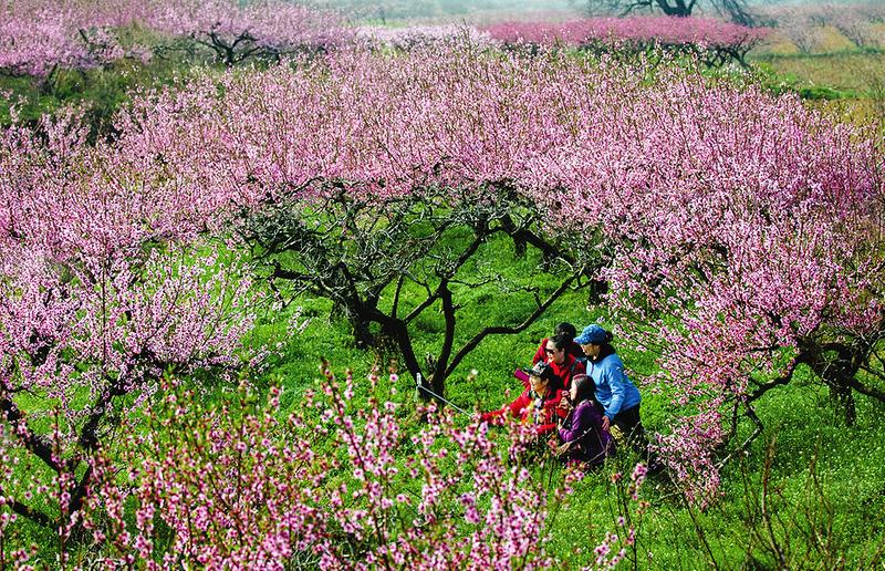 �ƿh�(zh��n)�A��ɽ�壺���һ���(j��ng)���������l(xi��ng)������