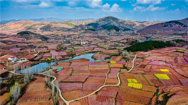 �ƿh�(zh��n)�A��ɽ�һ��`�ţ�������