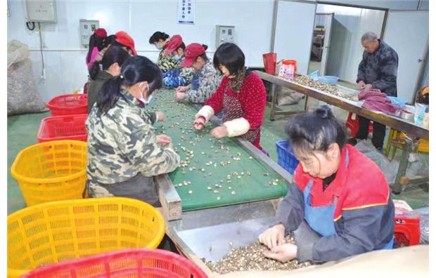 ���x��(y��u)�|��