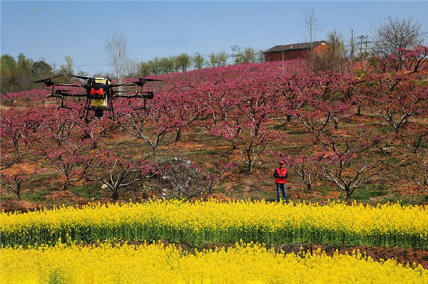 ��Ч���� �����Ͳ˻����L