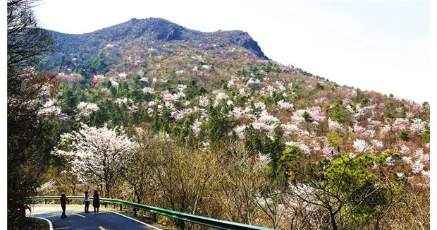 �����ɽ������S���ѻ�ͽ������A�M�e��