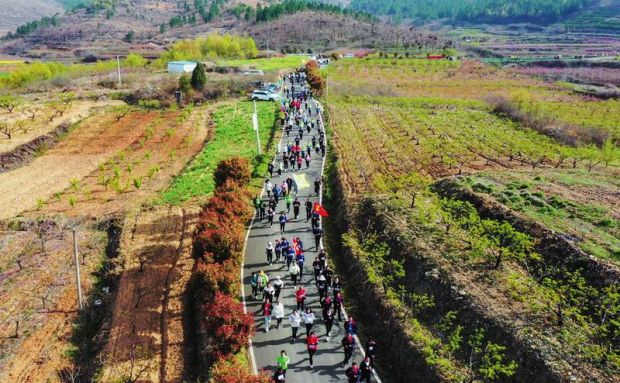 �p��ɫ ������