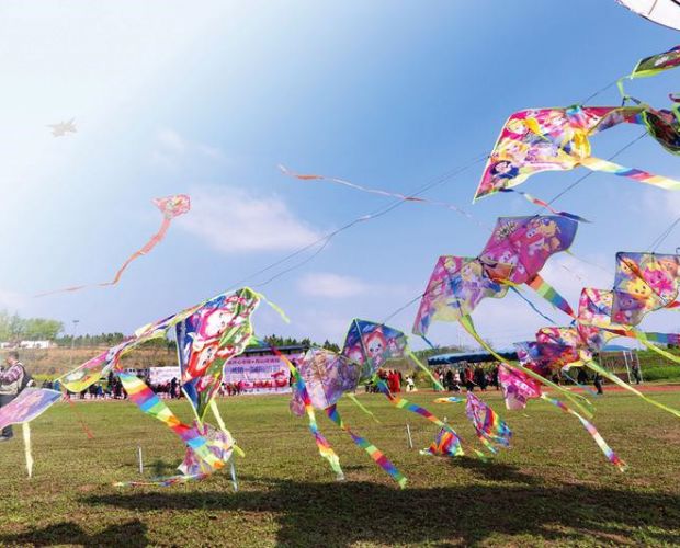 ���L�뮋���S�w