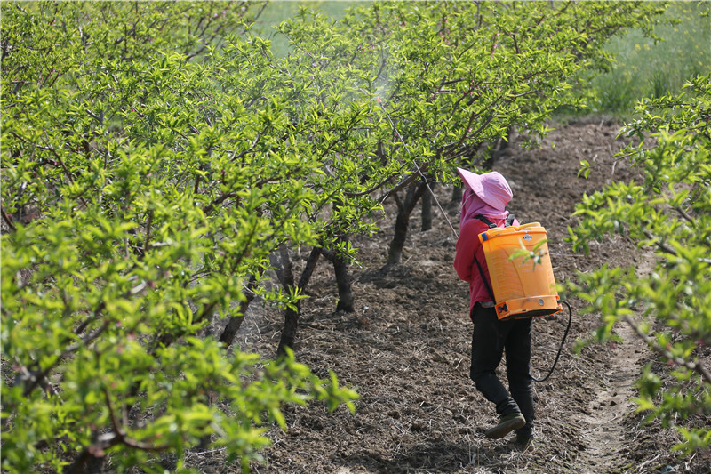 �M�Ĺ��o �_������