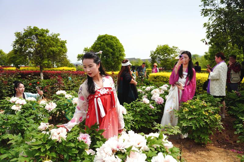 ���r(n��ng)ĵ����ĵ��ʢ�_