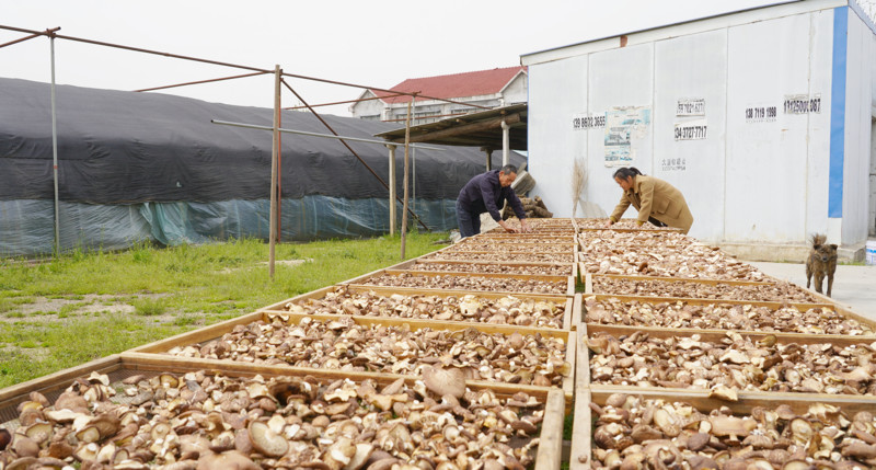 ʡ��(n��i)�⽛(j��ng)�N��Ľ���������Գ�14�꣬�@����������ɶ��