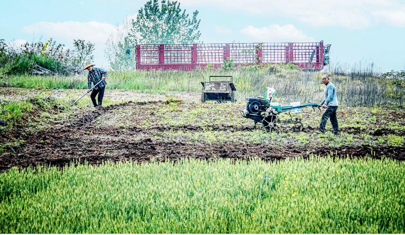 ��ץ�r(n��ng)�r ʩ�ʴ���