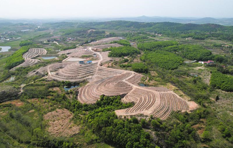 ɽ�ό���ݮ�� �������Vˮ���P(gu��n)�R�(zh��n)���ϴ���{(l��n)ݮ�a(ch��n)�I(y��)