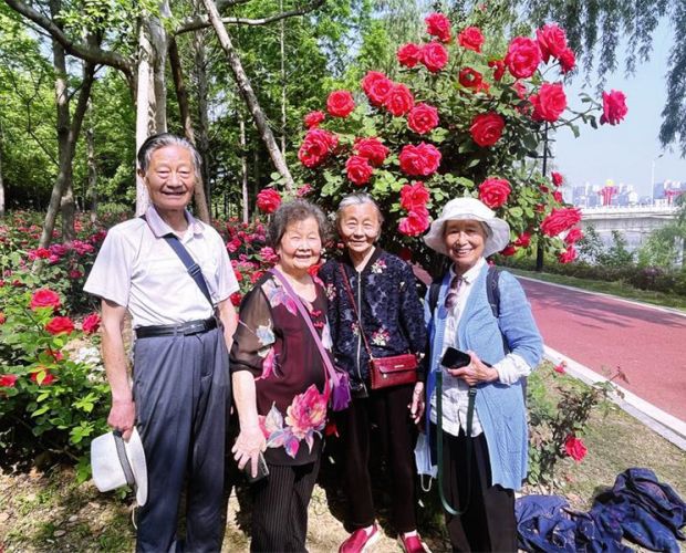 õ�廨�_������