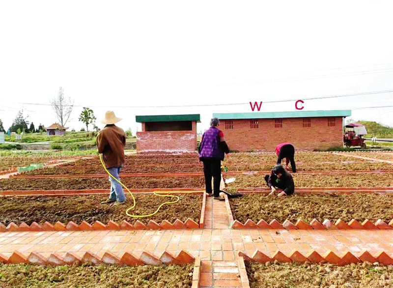 �������Ҹ�����|���Ϻ���@���r(n��ng)�����ں��L���l(xi��ng)�����d����