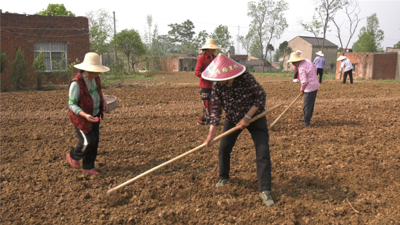 �Vˮ�У���벢�e �a����� �_�������ָ�ˡ��䌍