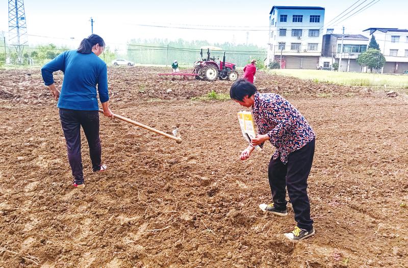 �����(zh��n)��(y��n)���䌍(sh��)���ر��o(h��)����