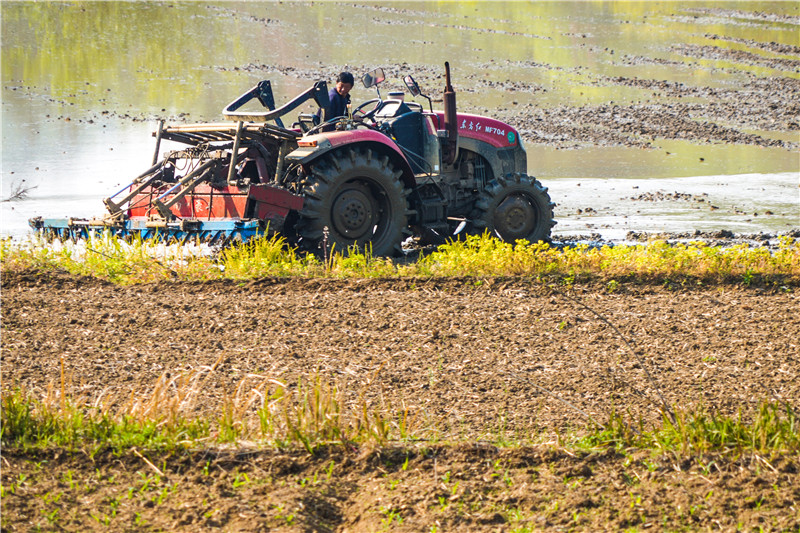 ���r(n��ng)�r ץ���a(ch��n)