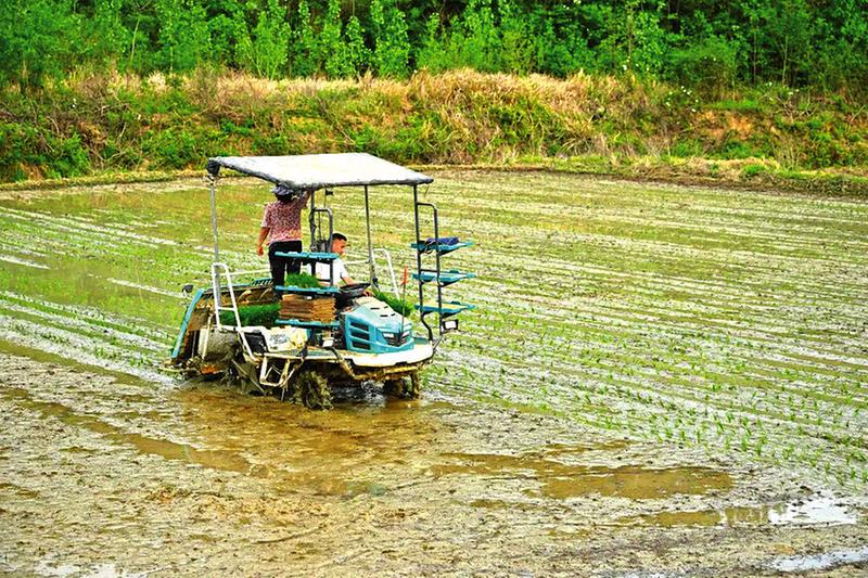 �����^(q��)�����ﱣķ��׌�r(n��ng)���p�ɷN�ﷀ(w��n)����