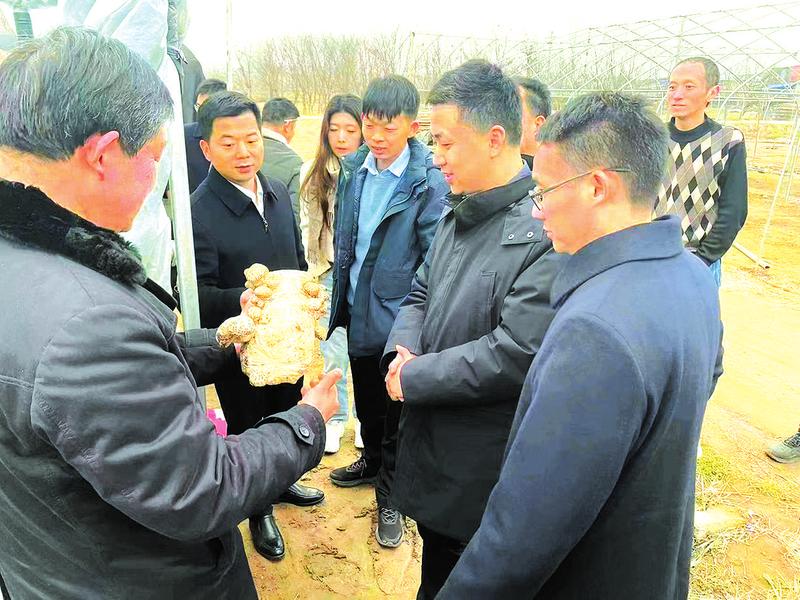 �{(di��o)���l(xi��ng)�����d����