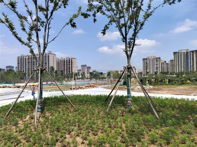 ��Ͷ�Y8000�fԪ���S����һ�w�����@����