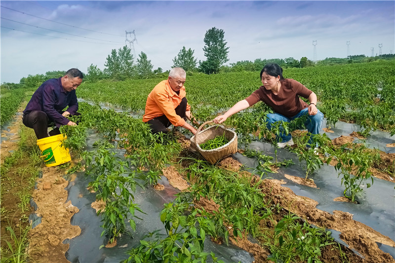 ��弉�l(f��)չ��������