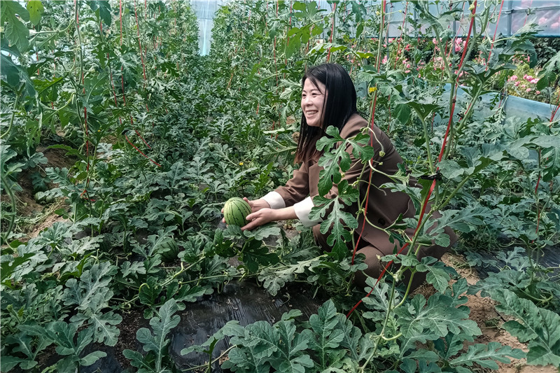 ���I(y��)���e��������