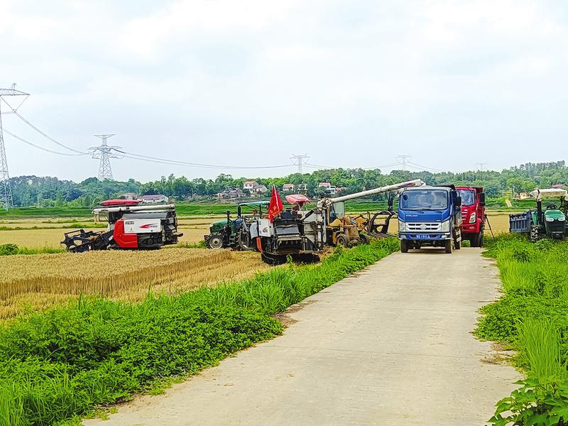 С���C(j��)��