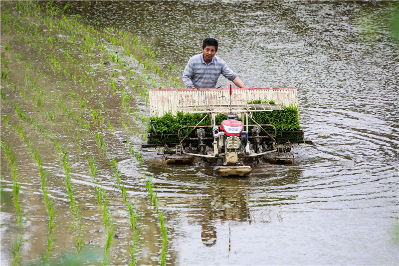 �r(n��ng)�����a(ch��n)æ