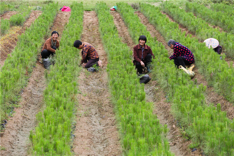 �_(k��i)չ�������a(ch��n)