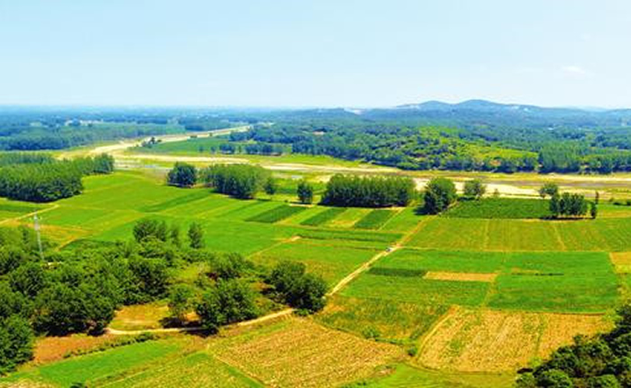 �����a(ch��n)���ںϴٳ��� �����S���д���ȫʡ���Ĳ�ˎ�ӹ����ڻ���̽�L