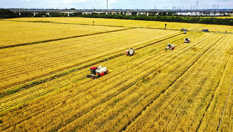 �U(ku��)�a(ch��n)�� �����^ ��Ʒ�� �����S�ݴ���ȫʡ��Ҫ�ă�(y��u)�|(zh��)�Z�ͮa(ch��n)�I(y��)��Ⱥ̽�L