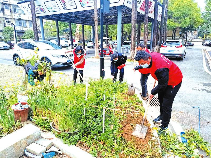 ���в˵�����