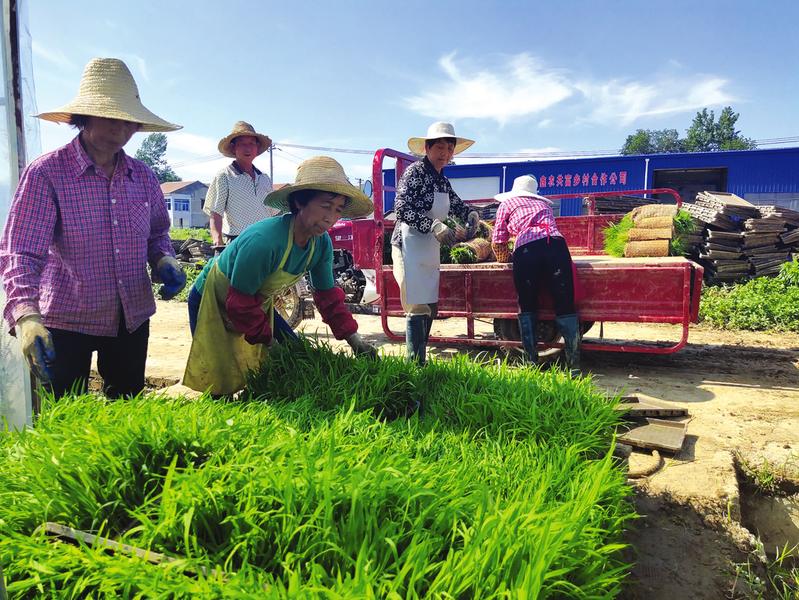 ����r(sh��)��(ji��)