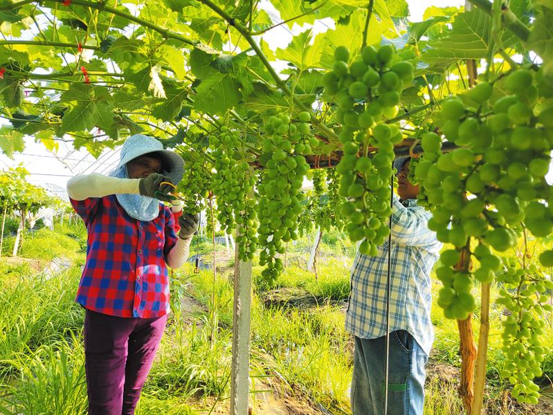 �����r(n��ng)��ʹ弯�w�p����