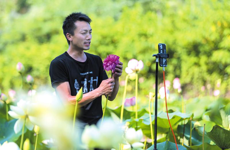 �_�Ҙ�ɻ��Nֲ����