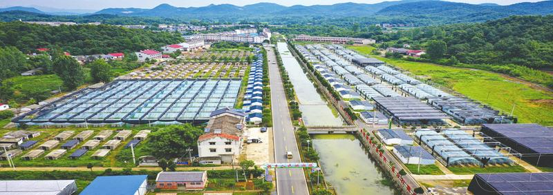 �S���д�����҃�(y��u)���㹽�a(ch��n)�I(y��)��Ⱥ̽�L