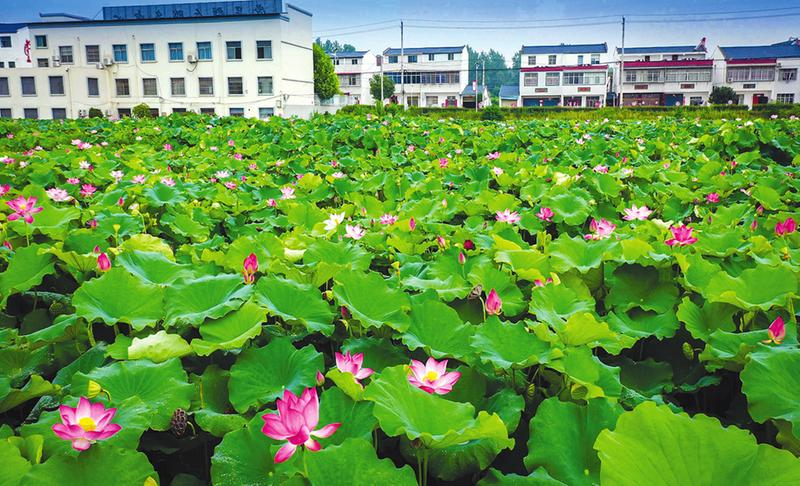 ����ɏ(li��n)�Ƽ������ڡ�ɏ�a(ch��n)�I(y��)�����L(zh��ng)���a(ch��n)�I(y��)朡�