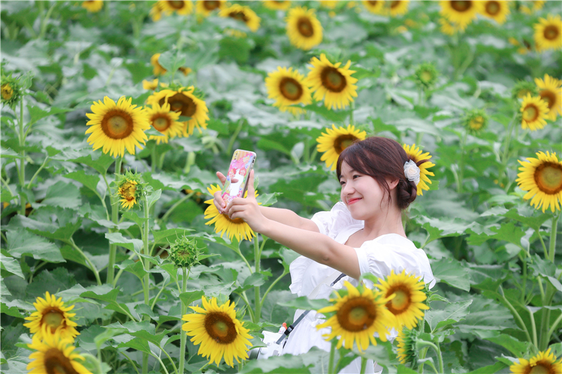 ���I(y��)�Nֲ��Ч��