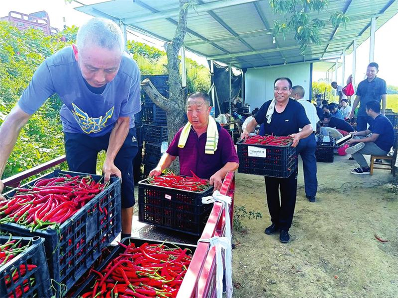 �S�ݸ��^(q��)䁾͡��a(ch��n)�I(y��)·��푳����蹲����