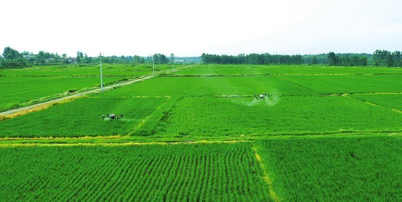 ���˷N �N���� �����N�﹫˾���⡰�l(shu��)��(l��i)�N��y�}���{(di��o)��