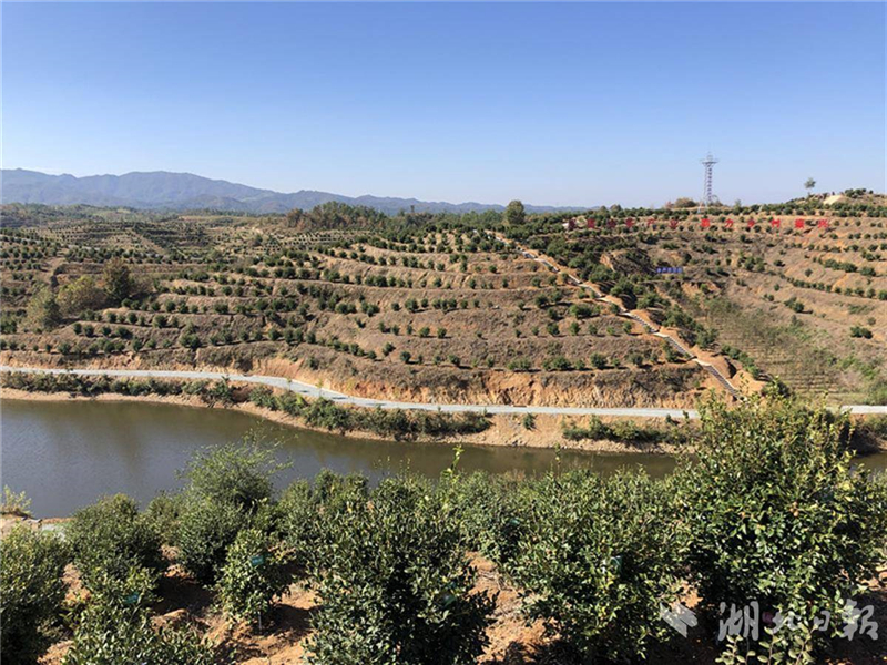 �������Ո��S���Ͳ�ʾ���Ŀ��Ͷ�Y12.62�|Ԫ ϵ��ʡ�����@�õ�����֘I(y��)���w�Ŀ